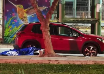 Volvían de Mendoza y una tragedia cambió todo: un niño de 12 años murió durante el robo de un auto