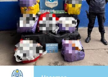 Secuestran mercadería extranjera y cinco kilos de hojas de coca en un control sobre la Ruta 38, en Famaillá