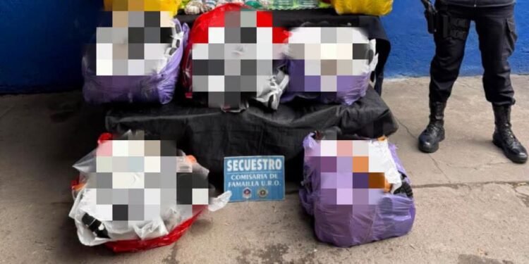 Secuestran mercadería extranjera y cinco kilos de hojas de coca en un control sobre la Ruta 38, en Famaillá