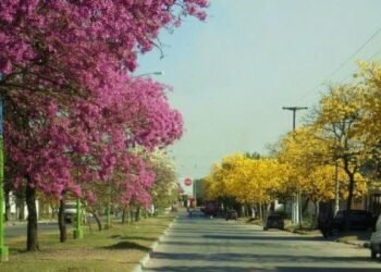 Cambio brusco de tiempo en Tucumán: llegan el viento sur, el frío y posibles nevadas en los cerros