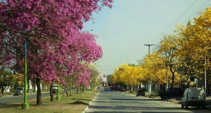 Cambio brusco de tiempo en Tucumán: llegan el viento sur, el frío y posibles nevadas en los cerros