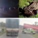 RUTA 9: TRES SINIESTROS VIALES DEJARON CUATRO PERSONAS FALLECIDAS DURANTE EL FIN DE SEMANA